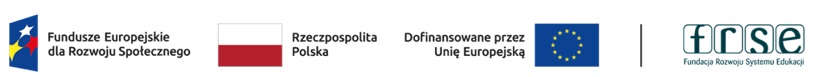 loga instytucji finansujących projekt: Fundusze Europejskie dla Rozwoju Społecznego, flaga Polski,  flaga Unii Europejskiej, logo Fundacji Rozwoju Systemu Edukacji